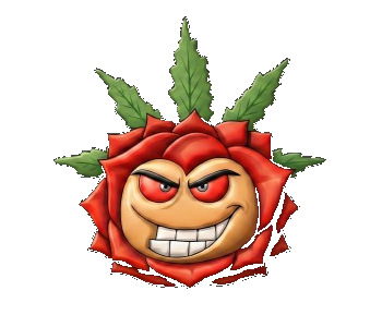 Mery B Logo